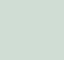 Линолеум Forbo Sphera Energetic 50220 mineral фото 1 | FLOORDEALER